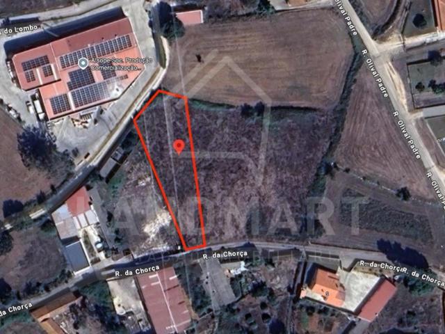 Terreno, Charneca do Casal do Guerra Benedita