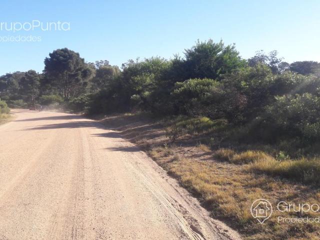 Terreno Chihuahua