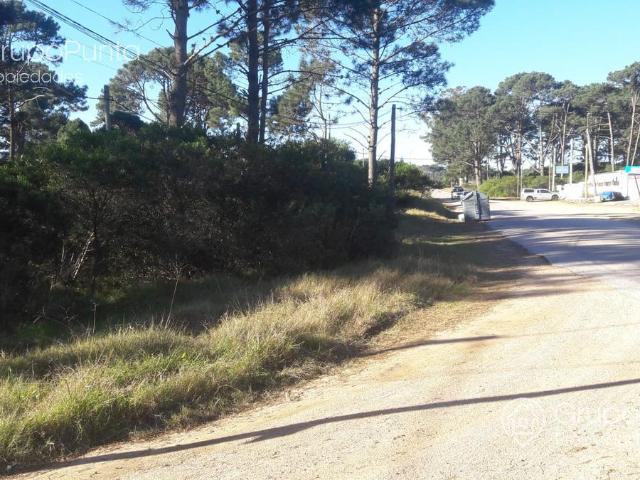 Terreno Chihuahua