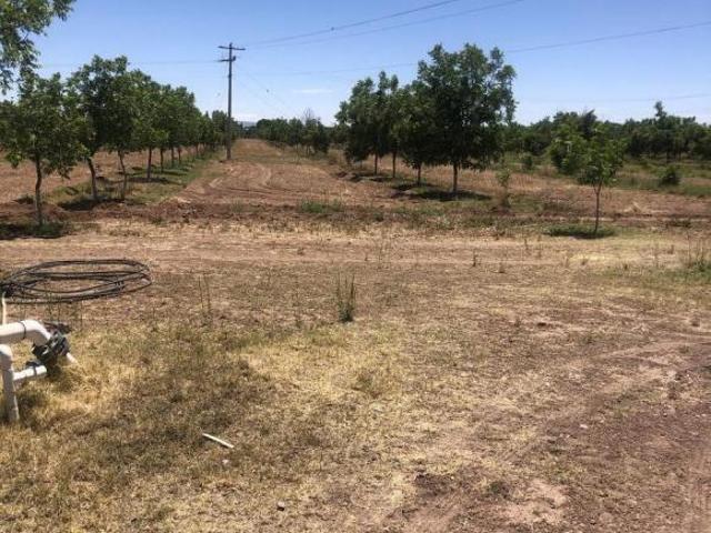Terreno Chihuahua