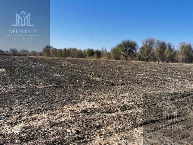 Terreno Chihuahua