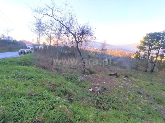 Terreno / Cinfães, Cinfães