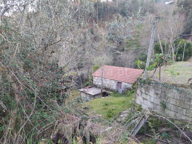 Terreno / Cinfães, Cinfães