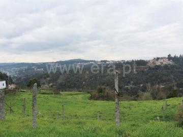 Terreno / Cinfães, Rio Douro