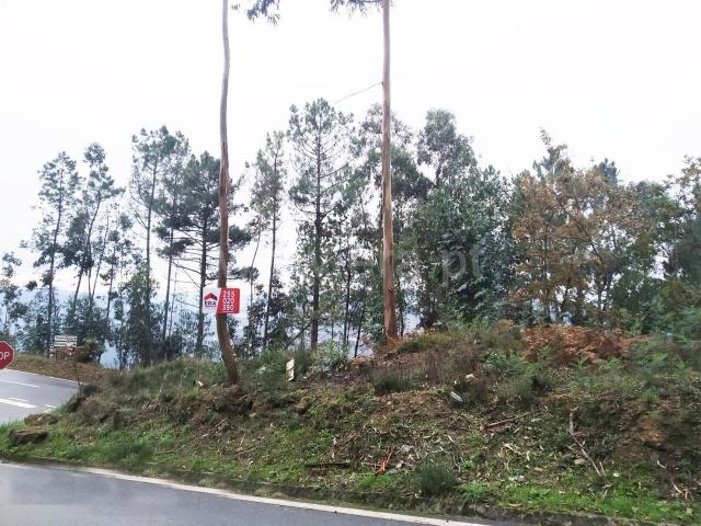 Terreno / Cinfães, Travanca