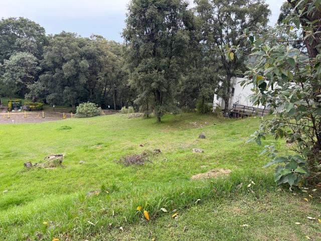 Terreno Club de Golf los Encinos