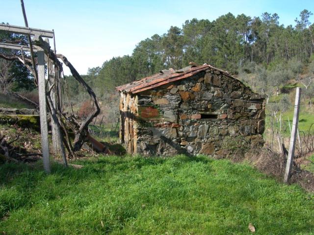 Terreno C/Moinho Antigo