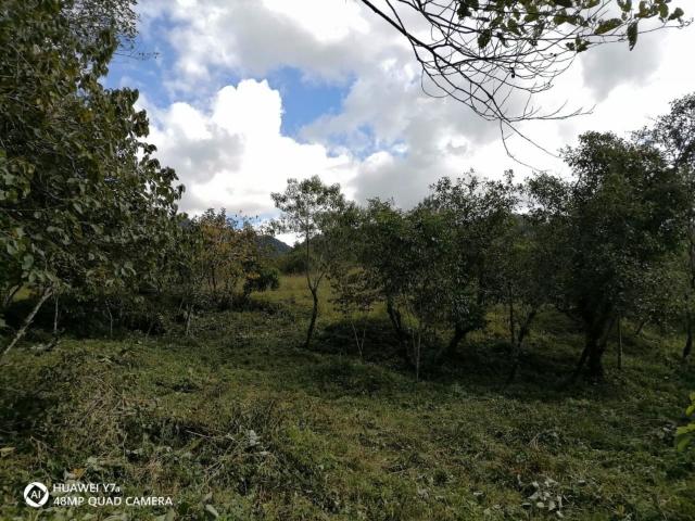 Terreno Coatepec Centro