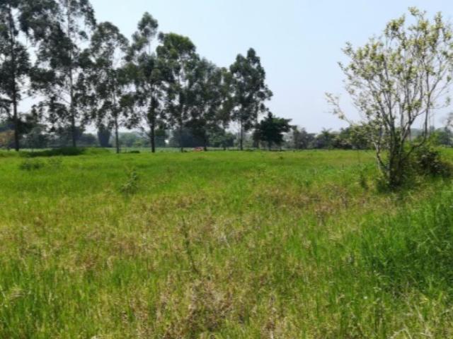 Terreno Coatepec