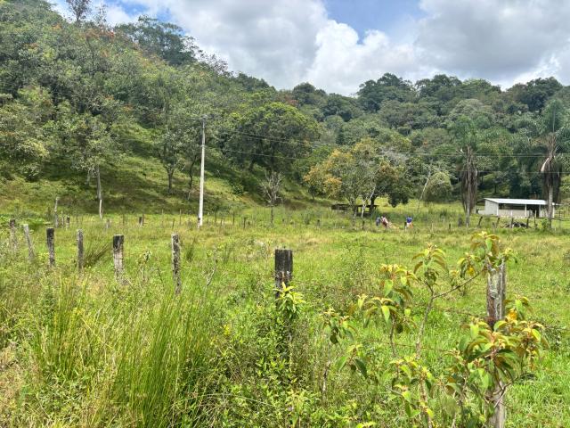 Terreno Coatepec