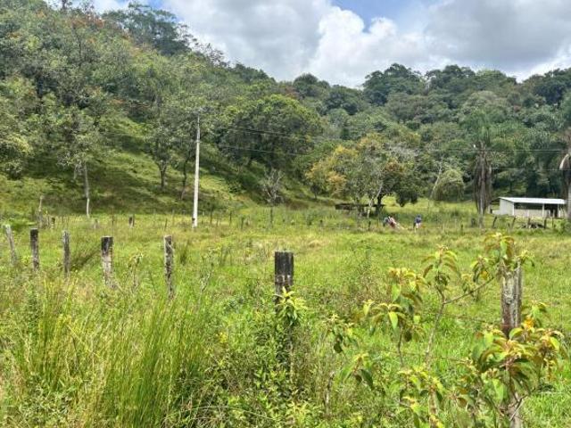 Terreno Coatepec