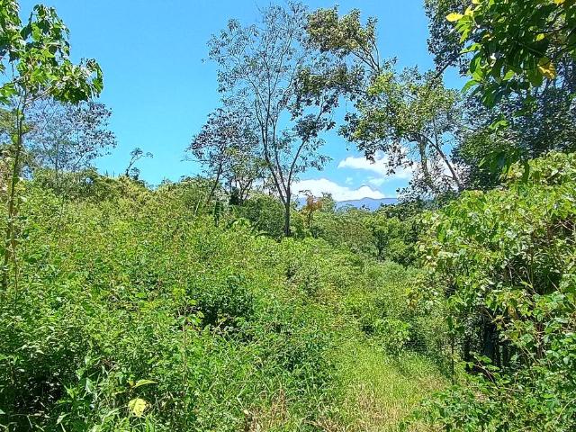Terreno Coatepec