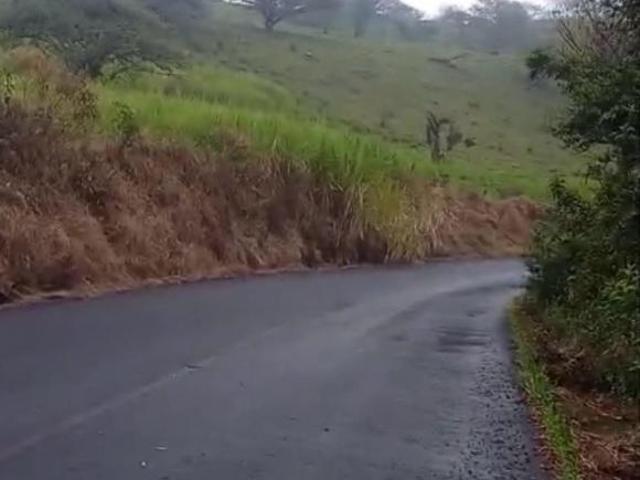 Terreno Coatepec
