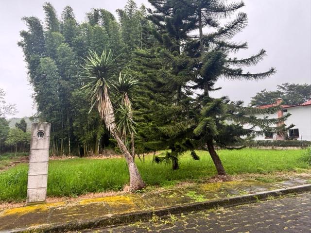 Terreno Coatepec