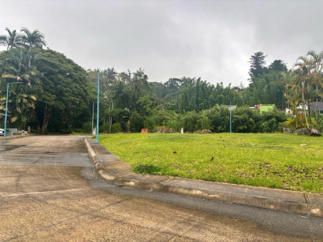 Terreno Coatepec