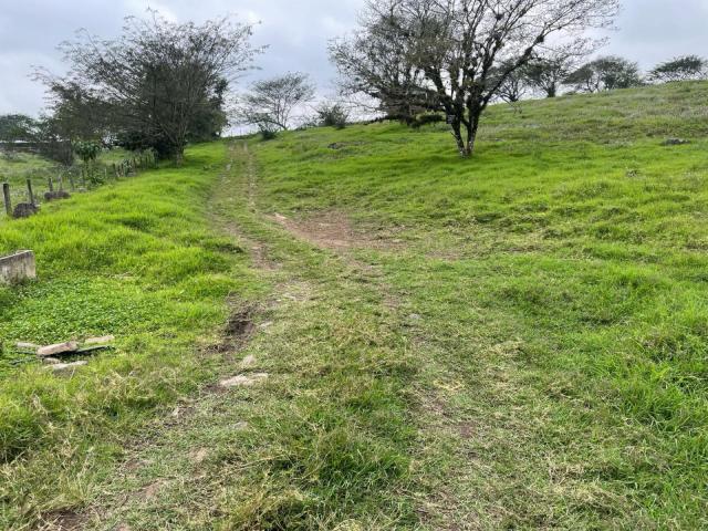Terreno Coatepec