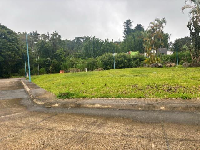 Terreno Coatepec