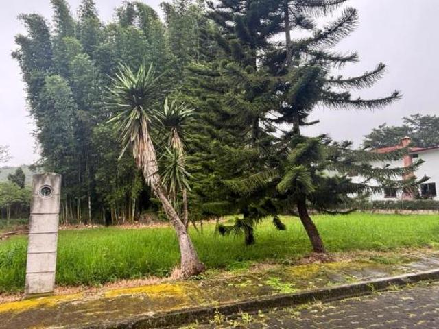 Terreno Coatepec