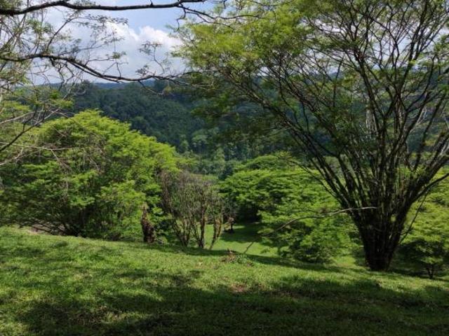 Terreno Coatepec