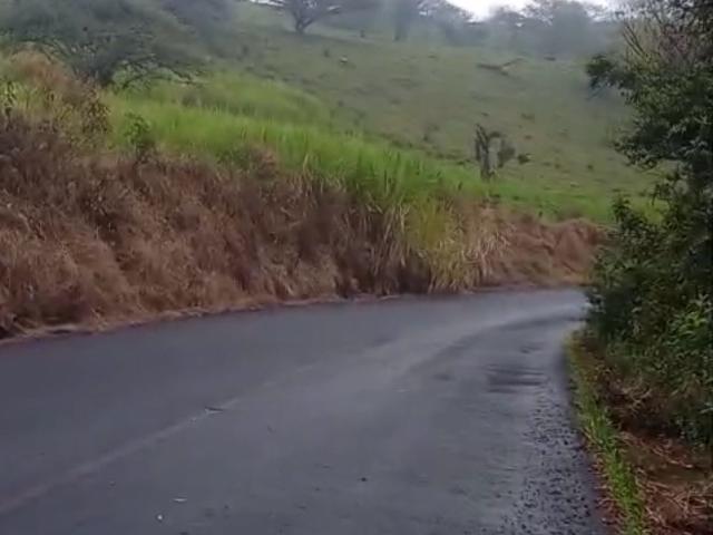 Terreno Coatepec