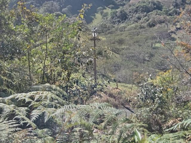 Terreno Coatepec