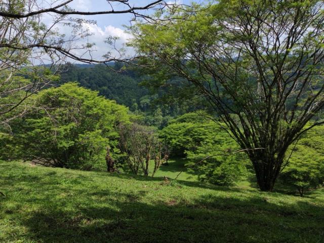 Terreno Coatepec