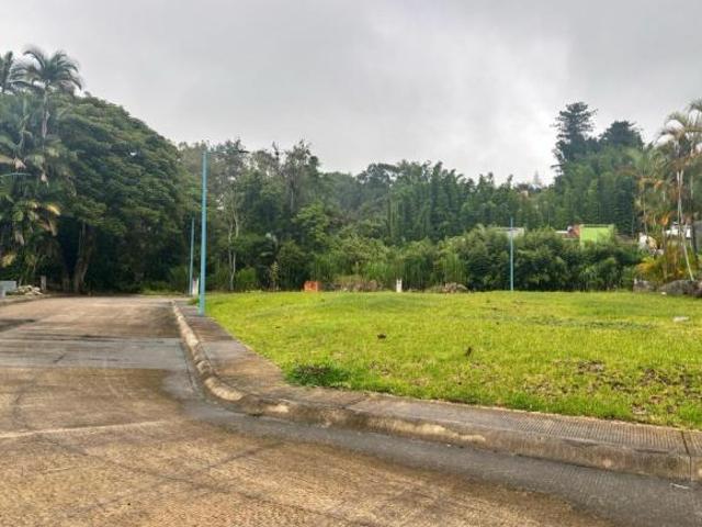 Terreno Coatepec