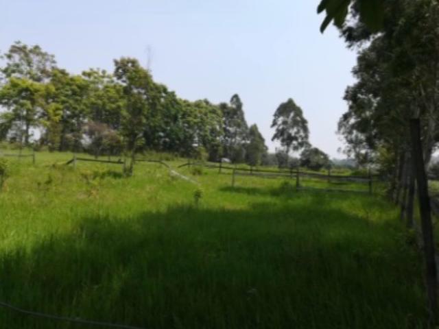 Terreno Coatepec