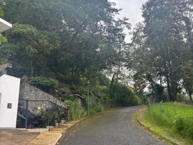 Terreno Coatepec