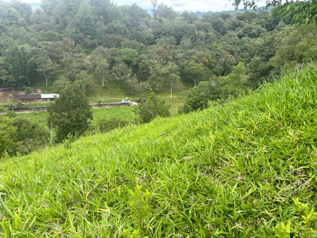 Terreno Coatepec