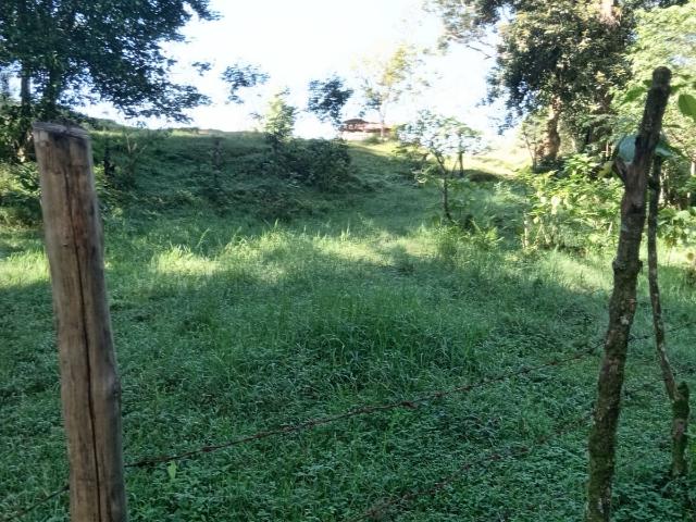 Terreno Coatepec
