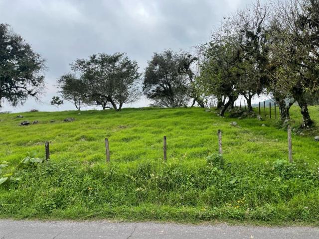 Terreno Coatepec