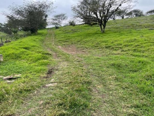 Terreno Coatepec