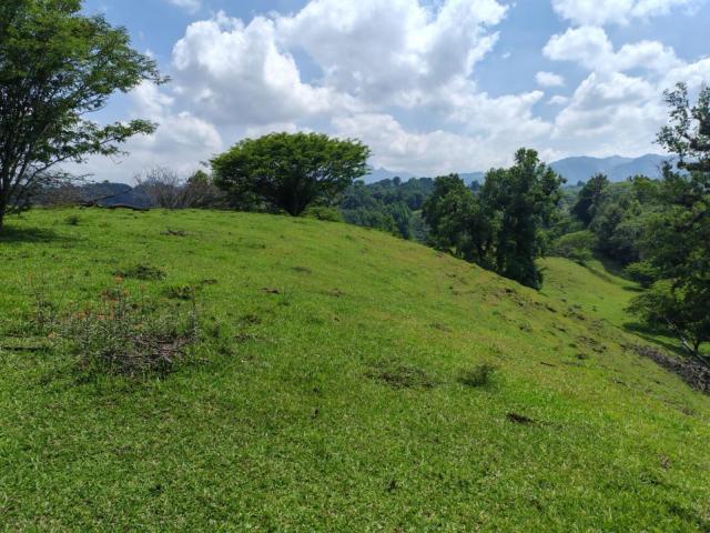 Terreno Coatepec