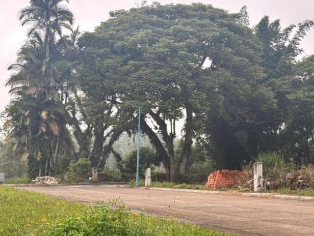 Terreno Coatepec