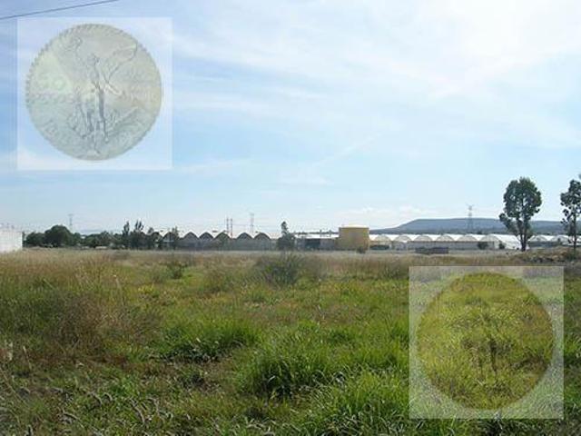 Terreno Colón