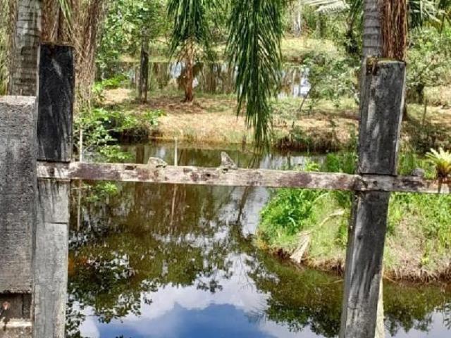 Terreno, Colônia Taunay, Paranaguá, PR