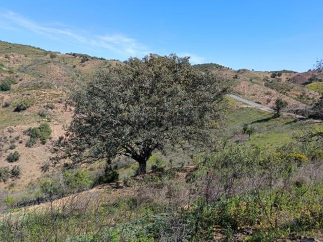 TERRENO COM 43.560 M2 COM POSSIBILIDADE DE CONTRUIR UM ARMAZÉM PRÓXIMO ALTA MORA CASTRO MARIM ALGARVE