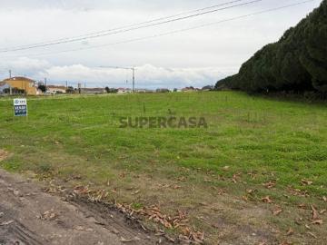 Terreno com 43mts frente construção moradias Quintãs | Aveiro