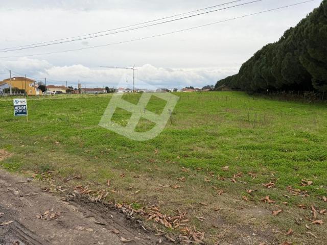 Terreno com 43mts frente construção moradias Quintãs | Aveiro