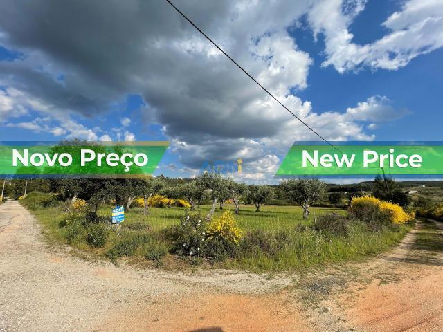 Terreno com 4000m2 e poço para venda permite construir