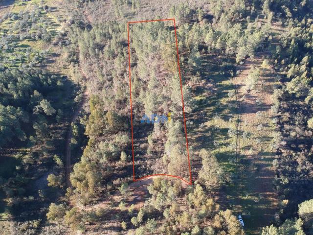 Terreno com 4040m2 para venda