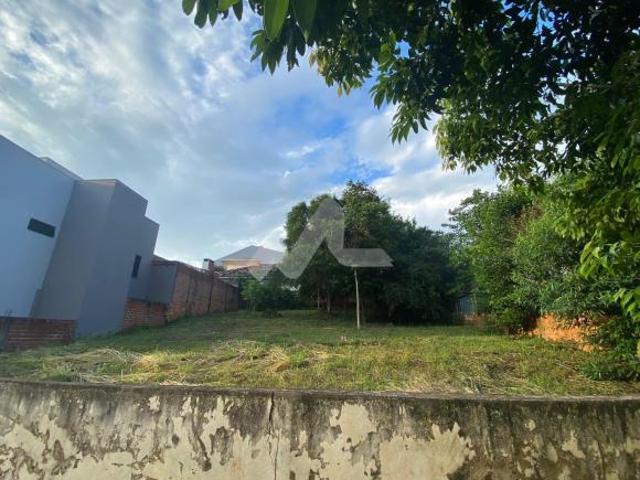 Terreno com 405 m e frente de 15 metros localizado no Centro de Toledo