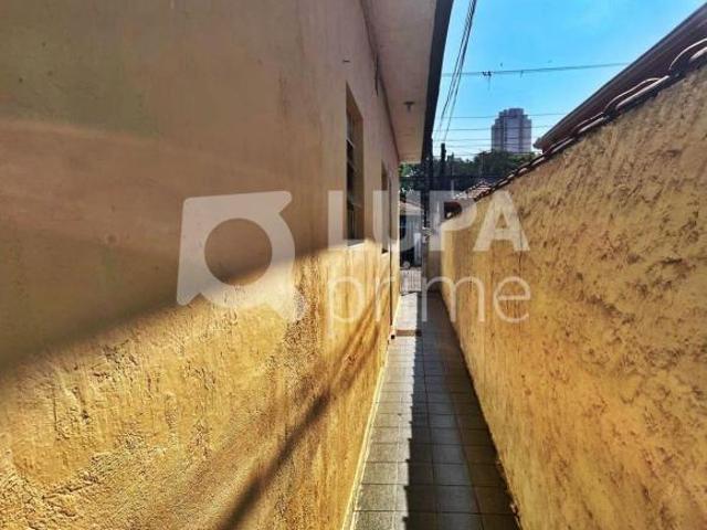 TERRENO COM 409M² À VENDA NA VILA MARIA