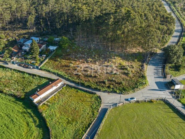 Terreno com 4200m2 em São Pedro de Avioso