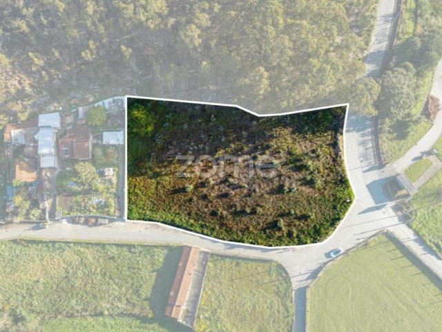 Terreno com 4200m2 em São Pedro de Avioso