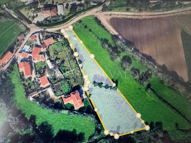Terreno com 4520m2, em Almornos, Almargem do Bispo