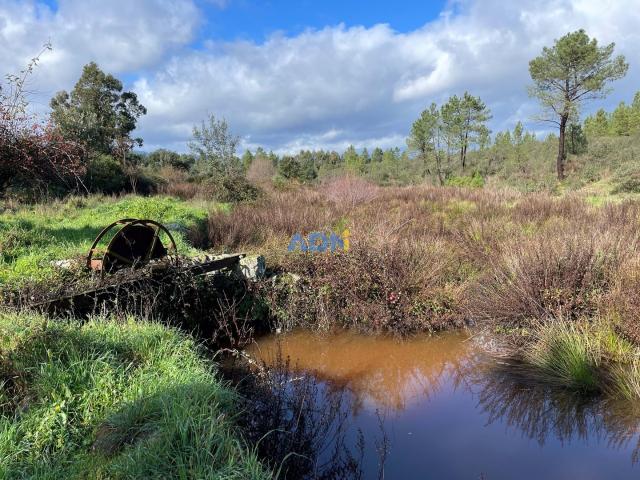 Terreno com 4240m2, ruína e poço para venda