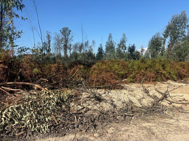 Terreno com 4400 m2