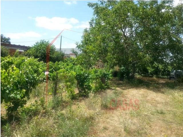 Terreno com 4400m2, Quinta do Anjo